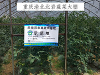 重庆渝北北岩蔬菜大棚